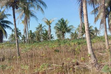 Land for sale in Khao Mai Kaeo, Chonburi