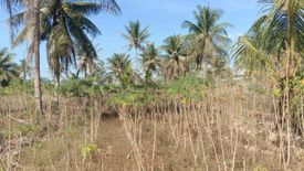 Land for sale in Khao Mai Kaeo, Chonburi