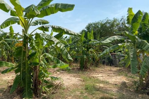 Land for sale in Sattahip, Chonburi