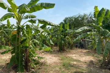 Land for sale in Sattahip, Chonburi