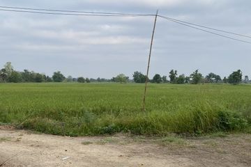 Land for sale in Buak Khang, Chiang Mai