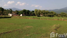 Land for sale in Mae Raem, Chiang Mai