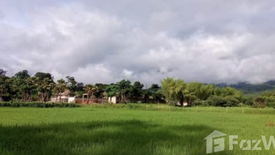 Land for sale in Mae Raem, Chiang Mai