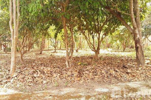 Land for sale in Huai Kaeo, Chiang Mai