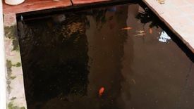 4 Bedroom House for sale in Moo Baan Siri Watthana Niwet, Nong Hoi, Chiang Mai