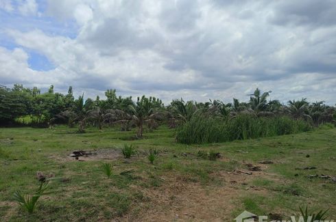 Land for sale in Nong O, Ratchaburi