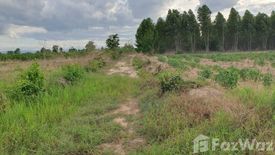 Land for sale in Wang Chaphlu, Kamphaeng Phet