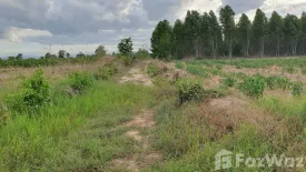 Land for sale in Wang Chaphlu, Kamphaeng Phet