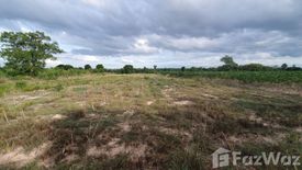 Land for sale in Wang Chaphlu, Kamphaeng Phet