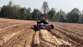 Land for sale in Chorakhe, Khon Kaen