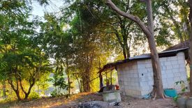 Land for sale in Chorakhe, Khon Kaen