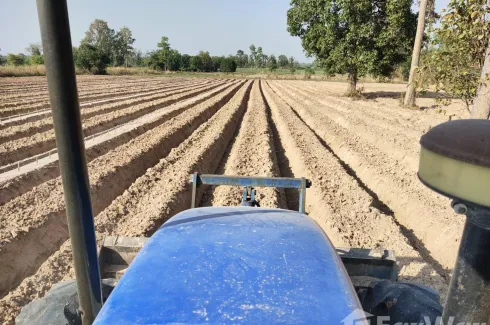 Land for sale in Chorakhe, Khon Kaen