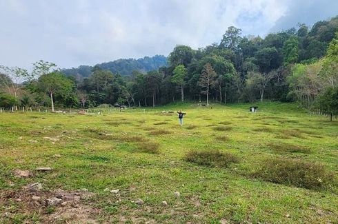 Land for sale in Pa Khlok, Phuket