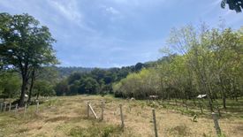 Land for sale in Pa Khlok, Phuket