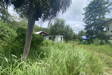 Land for sale in Si Sunthon, Phuket