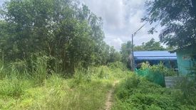 Land for sale in Si Sunthon, Phuket