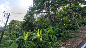 Land for sale in Karon, Phuket