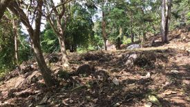 Land for sale in Patong, Phuket