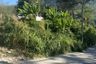 Land for sale in Kamala, Phuket