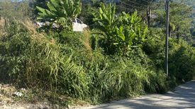 Land for sale in Kamala, Phuket