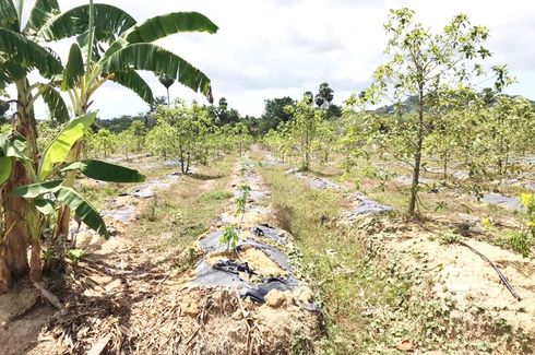 Land for sale in Si Sunthon, Phuket