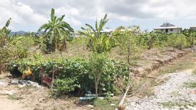 Land for sale in Si Sunthon, Phuket