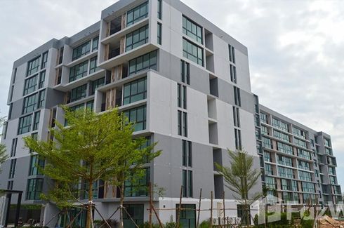 1 Bedroom Condo for sale in Connext Condo, Talat Nuea, Phuket