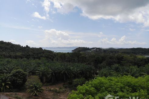 Land for sale in Pa Khlok, Phuket