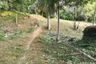 Land for sale in Patong, Phuket