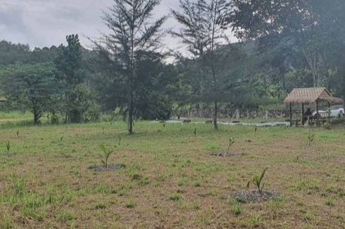 Land for sale in Sakhu, Phuket