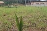 Land for sale in Sakhu, Phuket