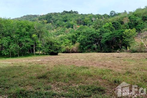 Land for sale in Chalong, Phuket