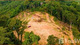 Land for sale in Pa Khlok, Phuket