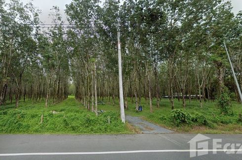 Land for sale in Pa Khlok, Phuket