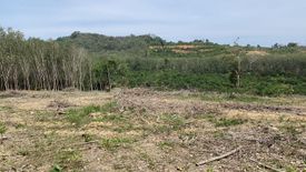 Land for sale in Pa Khlok, Phuket