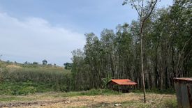 Land for sale in Pa Khlok, Phuket