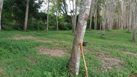 Land for sale in Chalong, Phuket