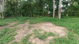 Land for sale in Chalong, Phuket