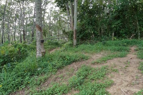 Land for sale in Chalong, Phuket