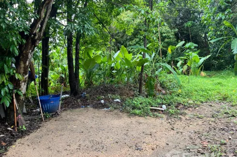 Land for sale in Choeng Thale, Phuket