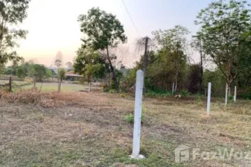 Land for sale in Bung, Amnat Charoen