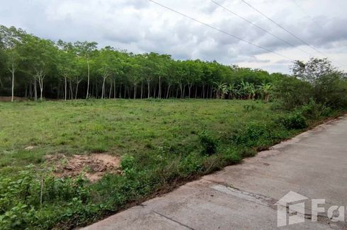 Land for sale in Phatong, Songkhla