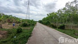 Land for sale in Phatong, Songkhla