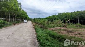 Land for sale in Phatong, Songkhla