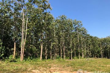 Land for sale in Pha Sing, Nan