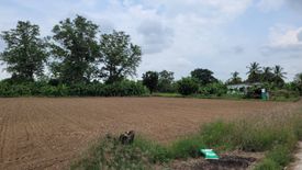 Land for sale in Wang Chaphlu, Kamphaeng Phet