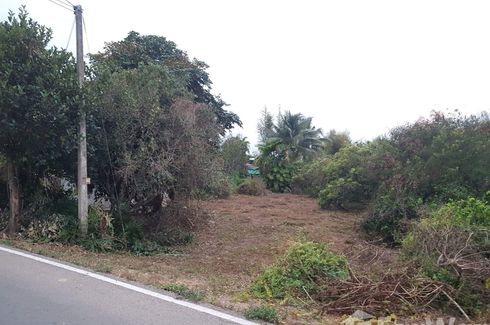 Land for sale in Pratu Pa, Lamphun