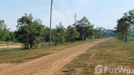 Land for sale in Salokbat, Kamphaeng Phet