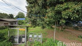 Land for sale in Huai Sai, Chiang Mai