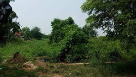 Land for sale in Ngio Rai, Phichit